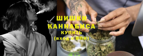 ПСИЛОЦИБИНОВЫЕ ГРИБЫ Белокуриха