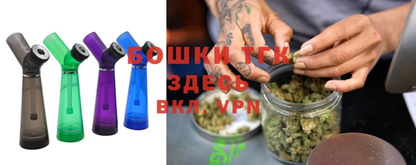 сатива Белоозёрский