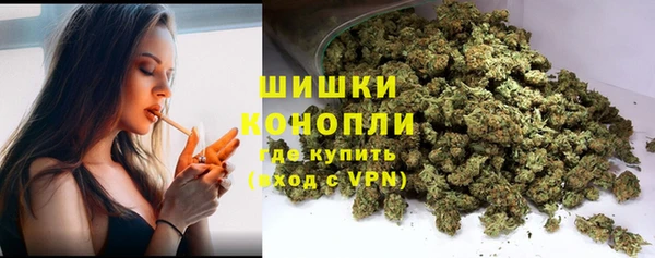 ПСИЛОЦИБИНОВЫЕ ГРИБЫ Белокуриха
