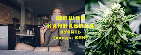 ПСИЛОЦИБИНОВЫЕ ГРИБЫ Белокуриха