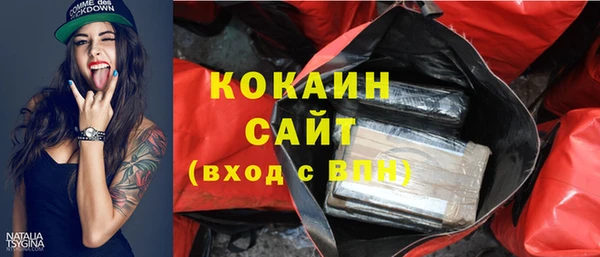 ПСИЛОЦИБИНОВЫЕ ГРИБЫ Белокуриха